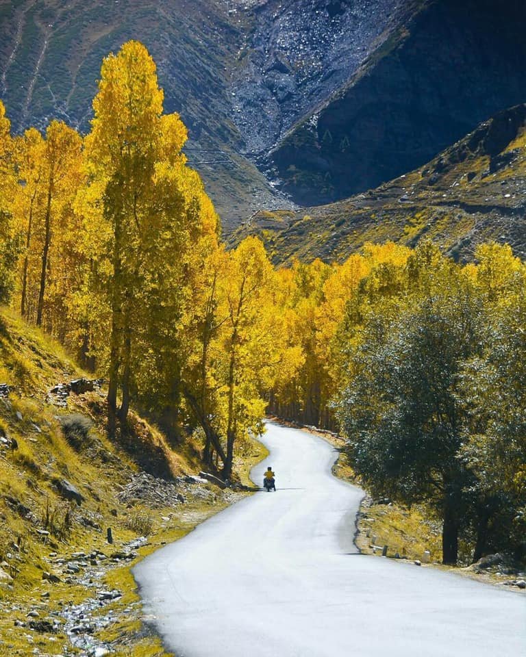 Sissu in Himanchal Pradesh