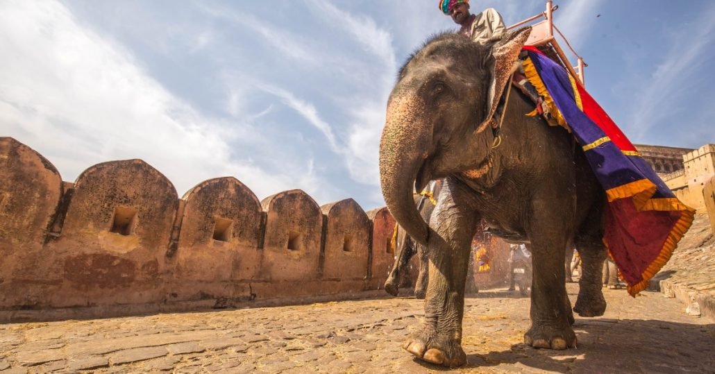 makar sankranti festival in Jaipur, Rajasthan