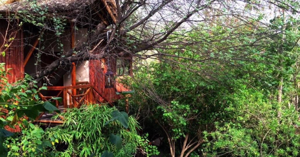 tree house resort in Jaipur