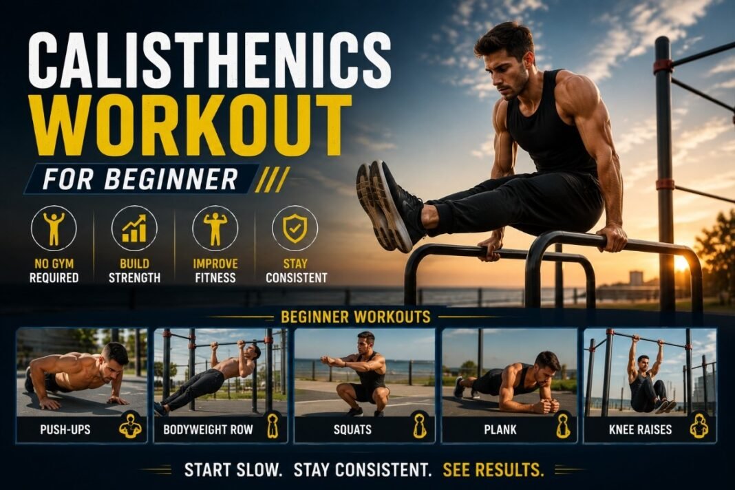 Calisthenics Workout For Beginner Calisthenics Workout For Beginner
