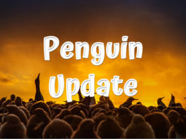 Penguin Update from google in 2012