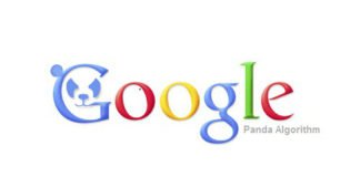Google’s – Panda Update Panda Update Google & Query Encryption