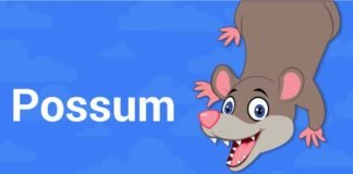 Possum Update from Google Possum Update by Google in year 2016