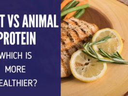 Plant Vs animal protein