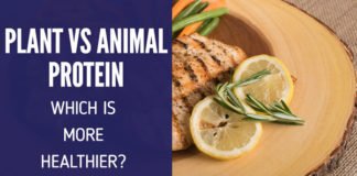 Plant Protein Vs Animal Protein. Which is Healthier? Plant Vs animal protein