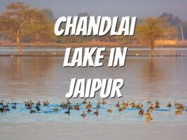 Chandlai Lake in Jaipur near shivdaspura