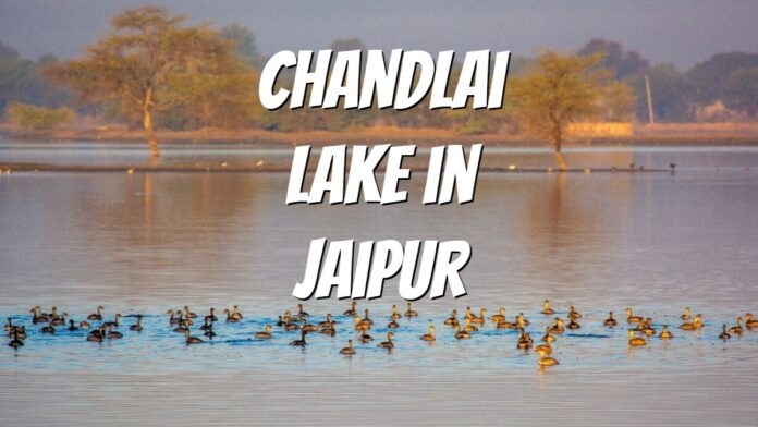 Chandlai Lake in Jaipur near shivdaspura