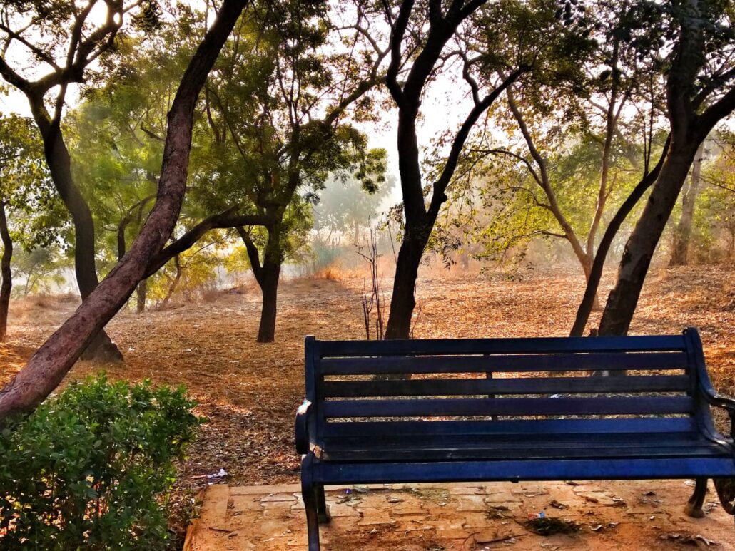 Where do people run in Jaipur? Well Mansarovar park is one of the best places to run.