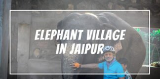Hathi Gaon Near Amer In Jaipur Hathi Gaon in Jaipur