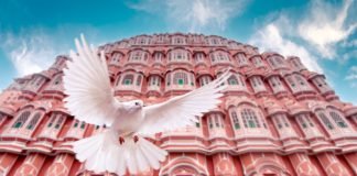 Pre-wedding Photoshoot locations in Jaipur Pre-wedding Photoshoot locations in Jaipur